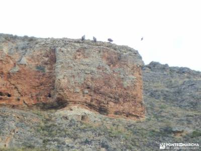 Hoces Río Duratón-Sepúlveda; puente diciembre la cabrera madrid ruta del agua el monasterio de p